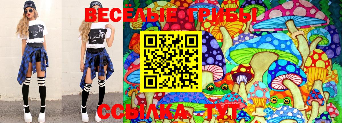 Галлюциногенные грибы прущие грибы Михайловка